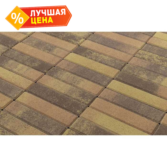 Плитка тротуарная BRAER Паркет Color Mix Прайд, 200х50х60 мм