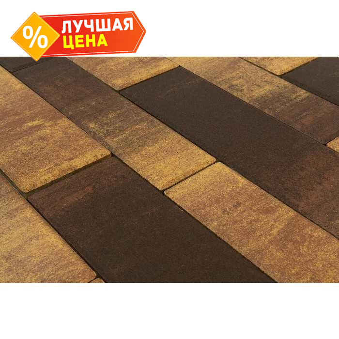 Плитка тротуарная BRAER Домино Color Mix Сафари, 120/160х60 мм