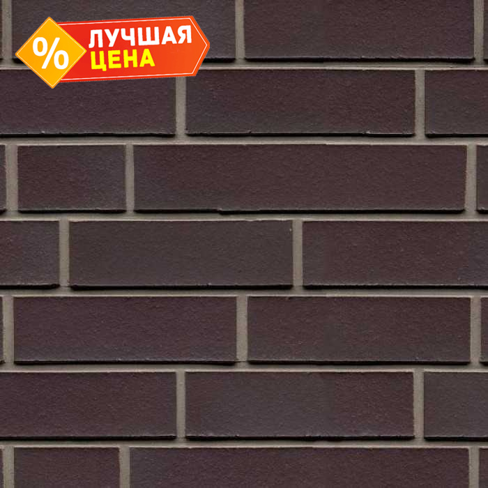 Клинкерная плитка ручной формовки Feldhaus Klinker NF 14 R509  geo ferrum liso 240х71х14 мм