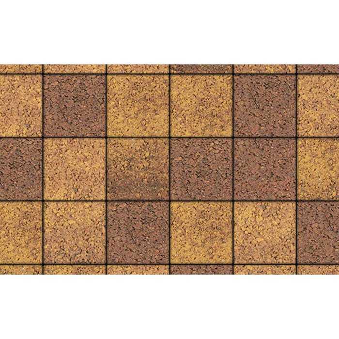 Плитка тротуарная Квадрат (ЛА-Линия) Б.2.К.6 Листопад гранит Осень 200х200х60 мм